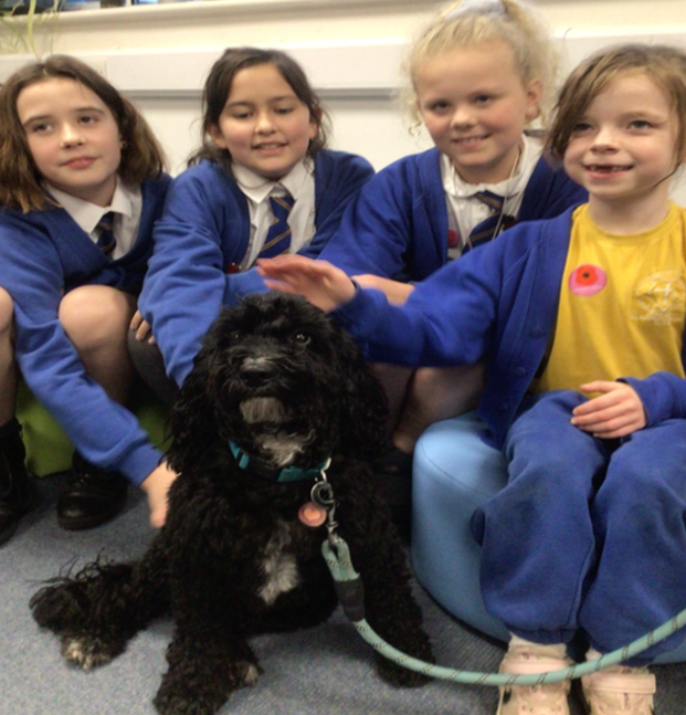 Our therapy dog, Halle, in training